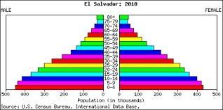 Which statement would be best justified by the information given in this population pyramid? &lt;