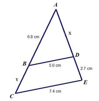 Given that ∠abd is similar to ∠ace, what is the value of x? round your answer to the nearest tenth.