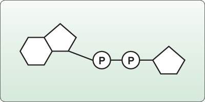 What is the correct illustration of an adp molecule?