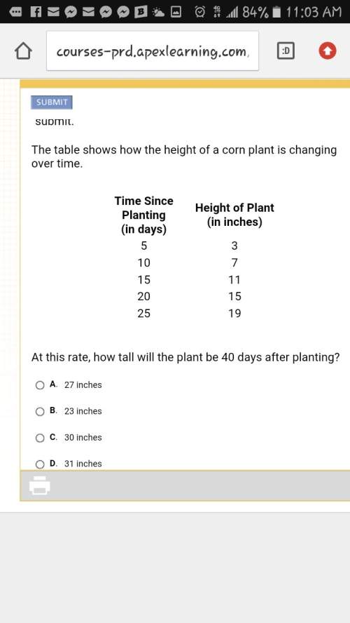 At this rate, how tall will the plant be 40 days after planting?