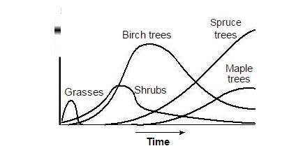 "the mass of plants shown in the graph refers to the mass of a number of (1)populations&lt;