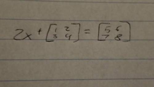 Ineed to solve for x, i dont know how to do this with the matrices!