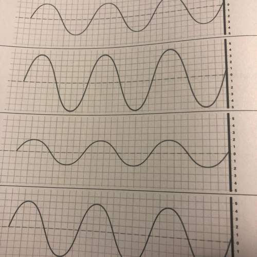 Record the amplitude of each of the waves shown.