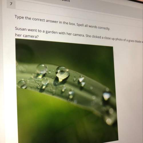 Susan went to a garden with her camera. she clicked a close up photo of a grass blade with water dro