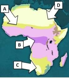 The congo rainforest is located in which region on the map above?  a. region a b.&lt;