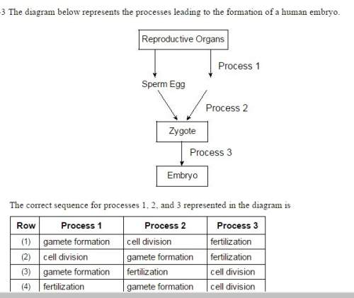 The correct sequence for processes 1, 2, and 3 represented in the diagram is