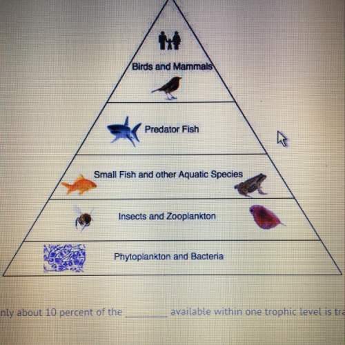 In the pyramid, only about 10 percent of the __ available within one trophic level is transferred to