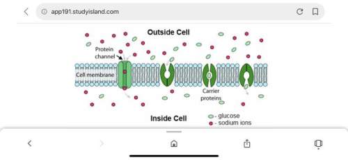 The following diagram is a model of the cell membrane. though small, nonpolar molecules are usually