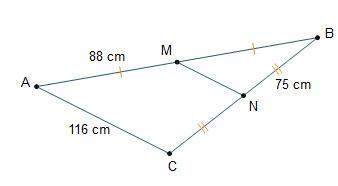 What is the length of line segment m n?  58 cm 75 cm 88 cm 116 cm