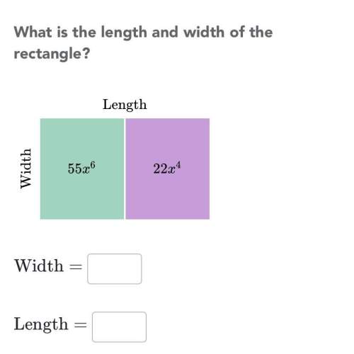 What is the length and the width of the rectangle of this problem?