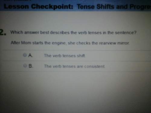 Which answer best describes the verb tenses in the sentence ? after mom starts the engi