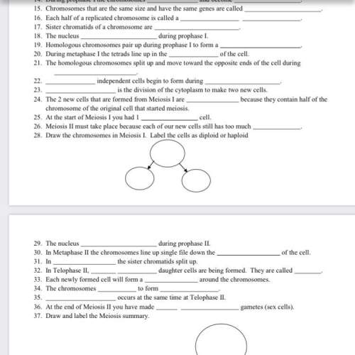 Need with a worksheet. 15-25 i’m stuck