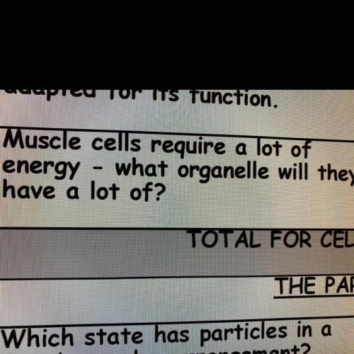 Muscle cells require a lot of energy - what organelle will they have a lot of?