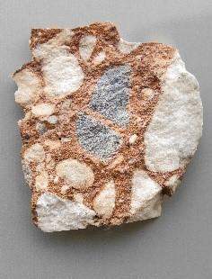 The image shows an example of a sedimentary rock. which feature of this rock