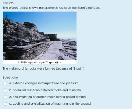The picture below shows metamorphic rocks on the earth's surface.