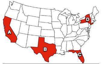 The states shaded in red- california, texas, florida, and new york- have seen strong economic growth