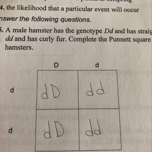 Using the punnett square.  what is the probability that the hamsters’ offspring will have stra