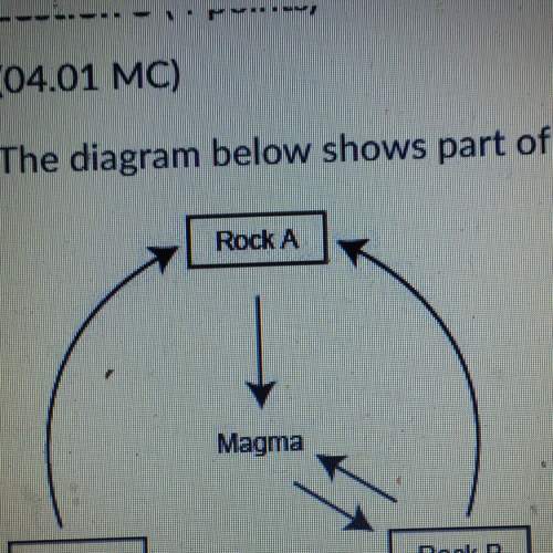 The diagram below shows part of the rock what type of rock does c represent