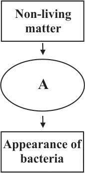 [gt.03] the diagram below shows the sequence of events and processes which resulted in the origin of