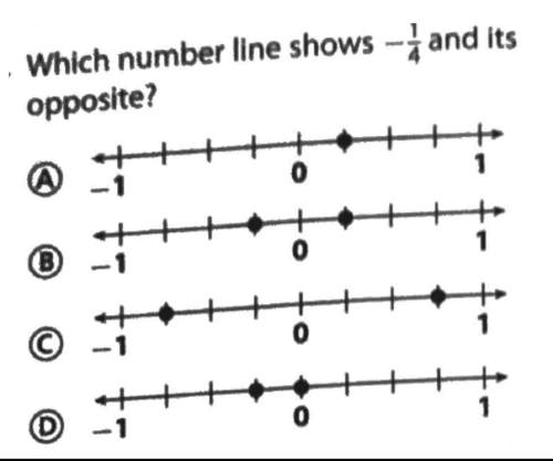 Which number line shows -1/4 and it opposite?