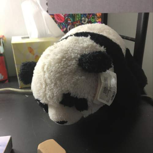 How cute is this panda? is it adorable?