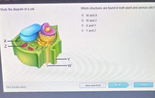 Study the diagram of a cell which structures are found in both plant and animal cells