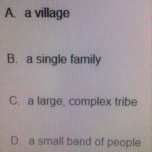 Which of the following was the main unit of society in early stone age culture