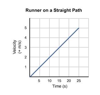 this graph shows the velocity of a runner moving along a straight path over time. according to