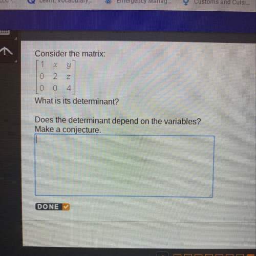 What is it’s determinant?  does the determinant depend on the variables?  make a conjec