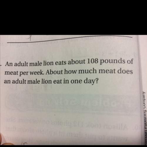 How much meat dose an adult male lion eat in a day