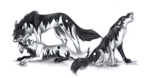 Can anyone me by describing the two wolves that are next to each this is for a story i am making.