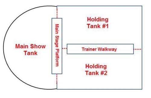 The theme park company is building a scale model of the killer whale stadium main show tank for an i