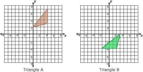 which best describes the figures shown below  a. triangle a and triangle b