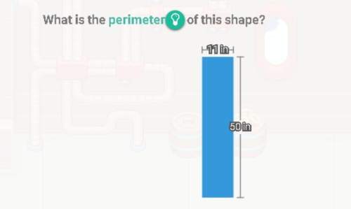 What is the perimeter for this shape?
