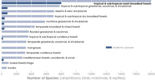 The following chart displays the number of species found in different regions and specifically how m