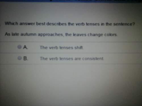 Which best describes the verb tenses in the sentence ? as late autumn approaches , the leaves