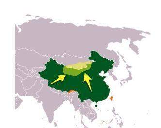 The yellow shaded region is representing which physical feature of asia?
