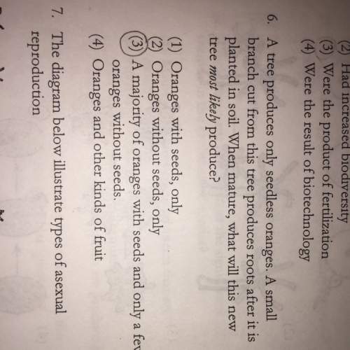 What is the correct answer to number 6 ? explain why and answer this