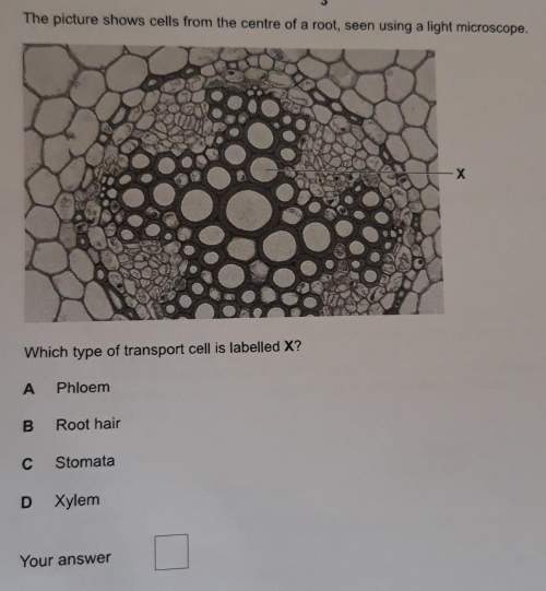 Biology 25 pointswhat is the answer and how can u tell ?