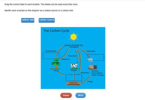 Identify each example on the diagram as a carbon source or a carbon sink.