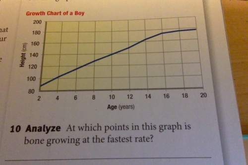 At which points in this graph is bone growing at the faster rate?
