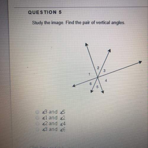 Study the image. find the pair of vertical angles.