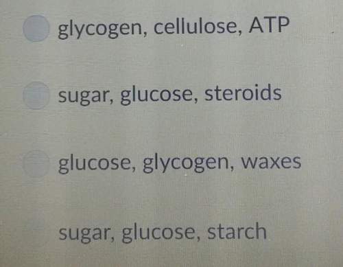 Which of the following are carbohydrates?