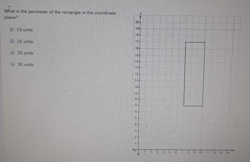 What is the perimeter of the rectangle in the coordinate plane?