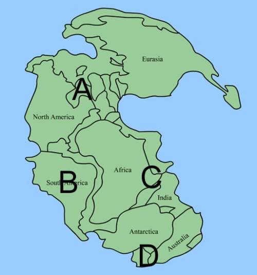 After the breakup of pangaea, what did point d become part of?  laurasia