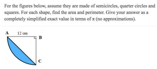 Question is in picture, i just need the perimeter, ! *also i'll give +brainliest! *
