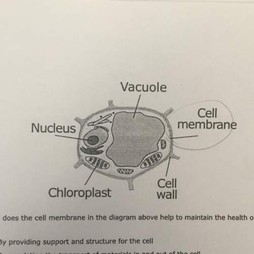 How does the cell membrane in the diagram above to maintain the health of this cell?