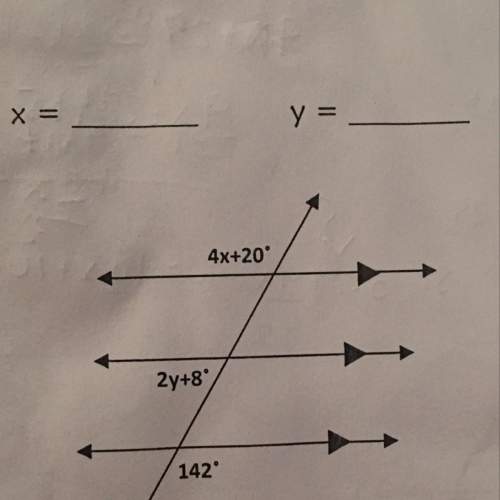 How can i find what y and w will equal to? what do they equal to?