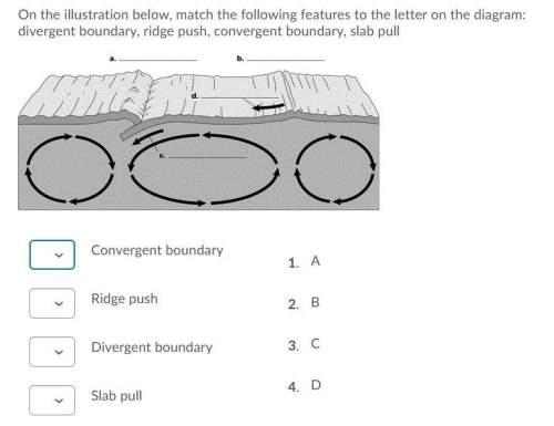 Me..  on the illustration below, match the following features to the letter on the diagram: d