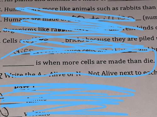 Blank space is when more cells are made than die